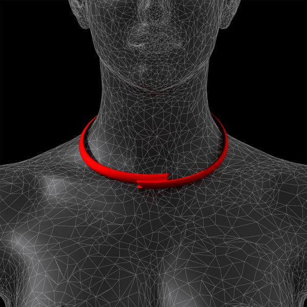 immagine per Sonos collana 1 r