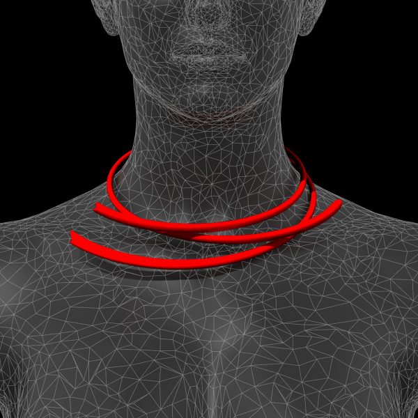 immagine per Sonos collana 2